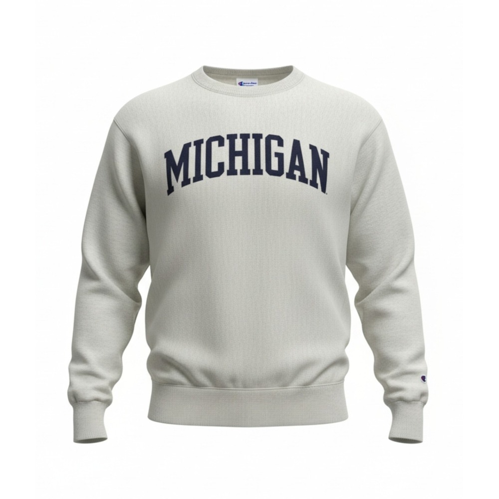 Champion Reverse Weave Michigan Sweatshirt XL Gray Crewneck Vintage Style BR1
